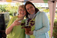 KGV Hafenwiese Sommerfest