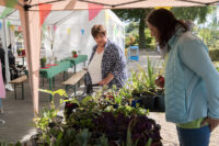 KGV Hafenwiese Sommerfest