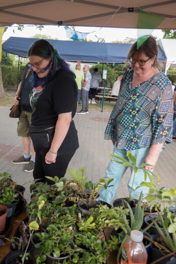 KGV Hafenwiese Sommerfest
