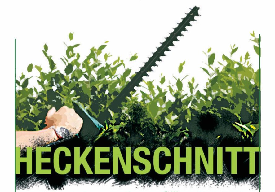 Heckenschnitt 2021 Klein­gärtner­verein Hafenwiese e.V.